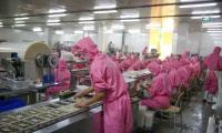 預(yù)制菜新規(guī)下，餃子源頭工廠如何搶占鮮食賽道？